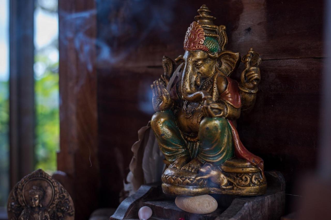 Vida Mountain Resort & Spa Adults Only San Ramón エクステリア 写真