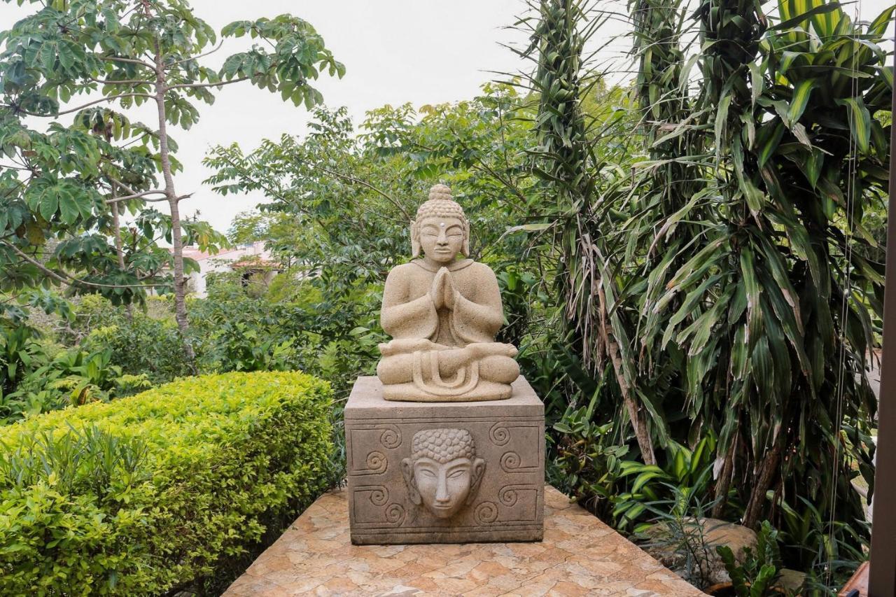 Vida Mountain Resort & Spa Adults Only San Ramón エクステリア 写真